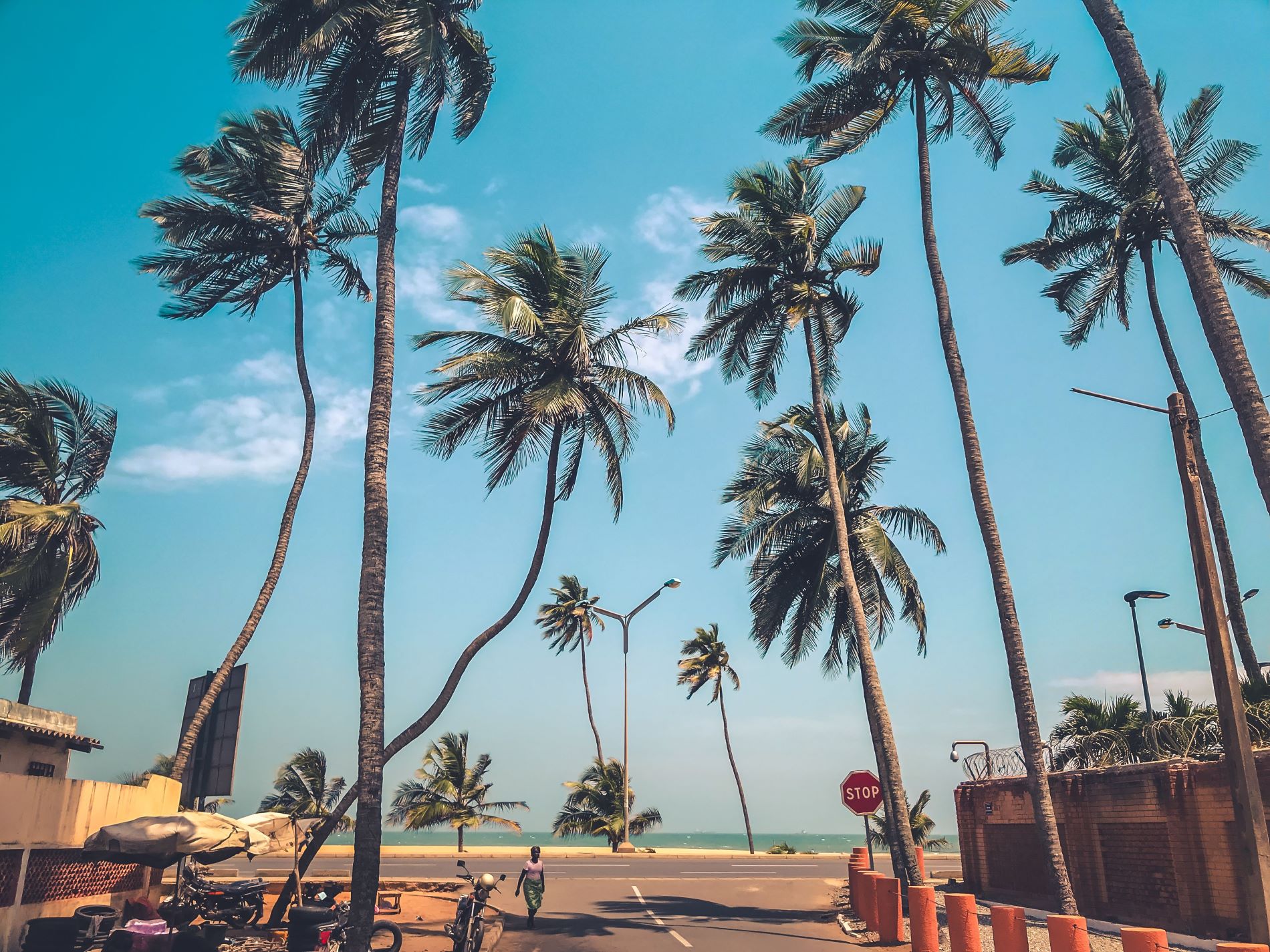 Avenue côtière et palmiers bordant la marina et l'océan à Lomé